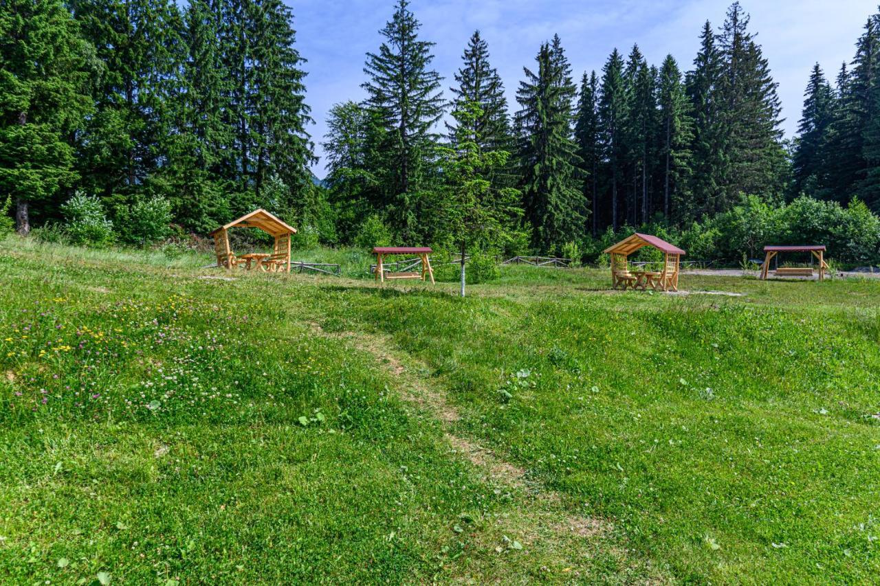 Pine Woods Studio D113 In Silver Mountain Poiana Brasov Luaran gambar